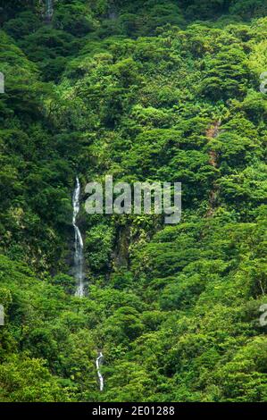 A small waterfall in the lush green mountains in Te Faaiti Natural Park. Tahiti - near Papeete. Stock Photo