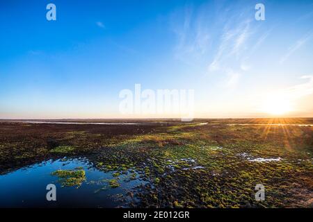 Sunset Over Paynes Prairie in Gainesville, Florida Stock Photo