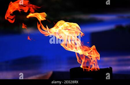 Photo of a bright fire on a dark background. Fire in the night Stock Photo