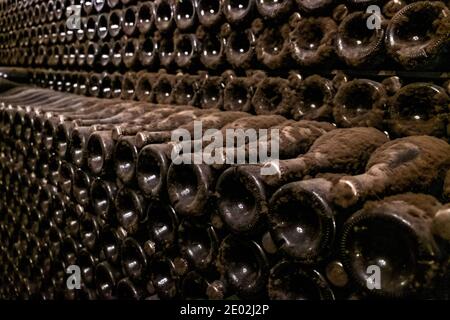 Long rows with dusty wine bottles are held in a dark cellar. Sparkling wine production technology. Stock Photo