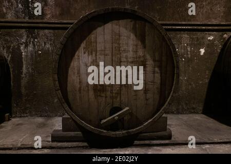 Large oak barrel with wine close-up. It stands in an old dark cellar. Stock Photo