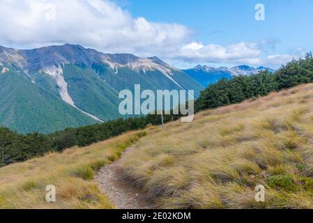 Hiking trail at Nelson lakes national park in New Zealand Stock Photo