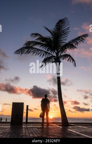 silhouette of boy and palm tree watching the sunset, at paseo de las canteras, Gran Canaria, Canary islands. Spain. Stock Photo