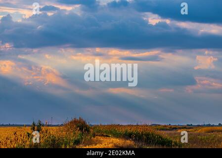 Dramatic cloudscape area landscape with rays of light. Stock Photo