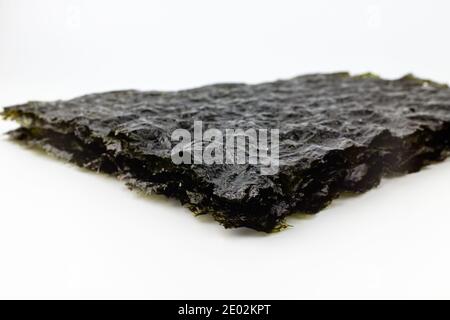 Green Blue seaweed on a white background Stock Photo