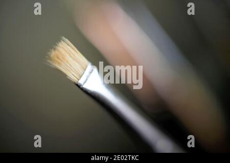 Selective focus on an artist's paintbrush Stock Photo
