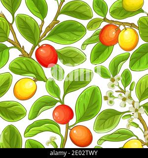 ximenia vector pattern Stock Vector