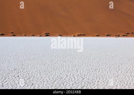 Parched ground in Deadvlei Pan, Namib Naukluft Park, Namibia Stock Photo