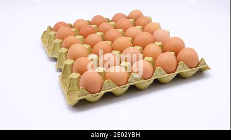 Thirty fresh brown eggs in a tray with white background Stock Photo