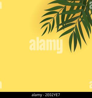 Abstract Realistic Green Palm Leaf Tropical Background. Vector illustration Stock Vector