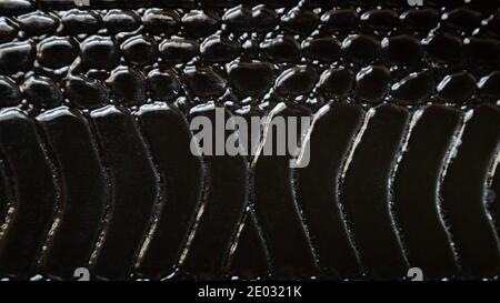Close up of black snake texture. Dark reptile skin background. Stock Photo