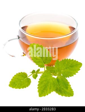 hot melissa (Melissa officinalis) tea isolated on white background Stock Photo