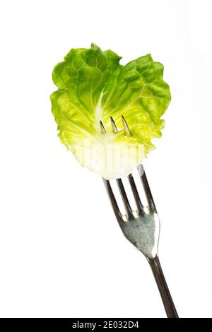 Leaf of lettuce on a fork Stock Photo