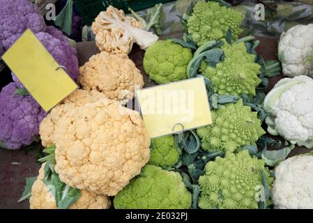Top view various types of Cauliflower on the shelf of stall at marketplace and empty price tags. Stock Photo