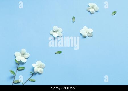 Diagonal lines made of white flowers on blue pastel background, flat lay, top view, copy space Stock Photo