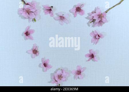 Beautiful pink peach flowers designed as shape of heart. Top view. Copy space Stock Photo