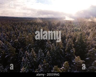 Winter wonderland morning mist fog over the forest aerial view . Snow covered Winter landscape. Spruce forest European Green Deal. Mystical snow Stock Photo