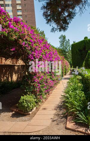 Valencia, Spain 07-20-2019:Monforte Garden - Jardines de Monforte. A neoclassic design full of statues, pools, fountains. Editorial use. Stock Photo