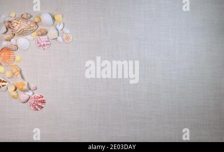 Letter C spelled by different seashells on side, summer time concept, flat lay Stock Photo