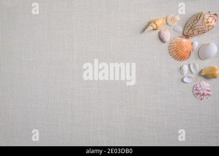 Top view of various seashells on Linen background, flat lay, copy space Stock Photo