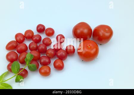 Three ripe tomatoes, pile of cherry tomatoes, and mint on blue background Stock Photo