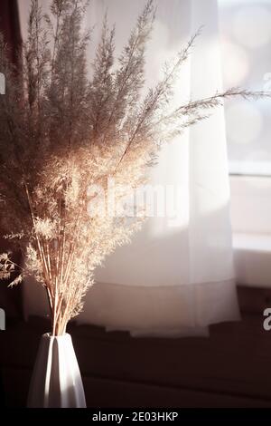 Pampas grass in white vase near windowsill with white curtains with bokeh and sunlight. minimalistic pampa concept.Trendy Home Decor. selective focus Stock Photo