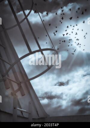 Flock of birds in atmospheric sky with roof ladder in foreground. Concept of escape, freedom, intrigue and mystery