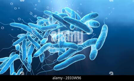 3D illustration showing legionella pneumophilia bacteria in water Stock Photo