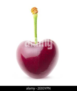 One sweet cherry fruit with very short stem isolated on white background Stock Photo