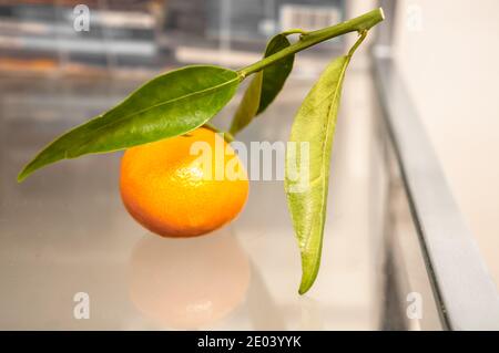 Mandarin with green leaf isolated on white background Stock Photo