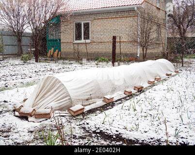 Spring frosts and snow at their summer cottage Stock Photo