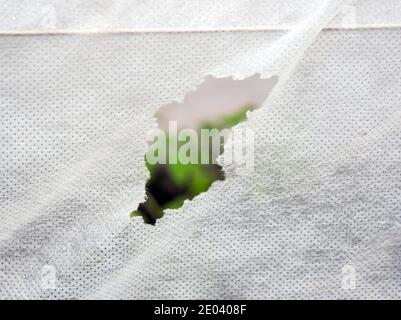 Leaky white covering material is used in the garden Stock Photo