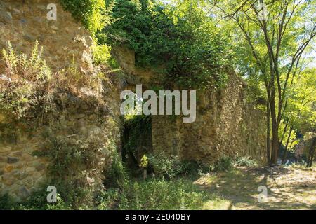 The ruins of the 15th century fortified walls which once surrounded the Terme di Petriolo hot spring thermal baths near Monticiano in the Siena Provin Stock Photo