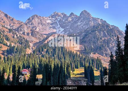 Mountain landscape with rocky peaks and spruce forest against the blue sky