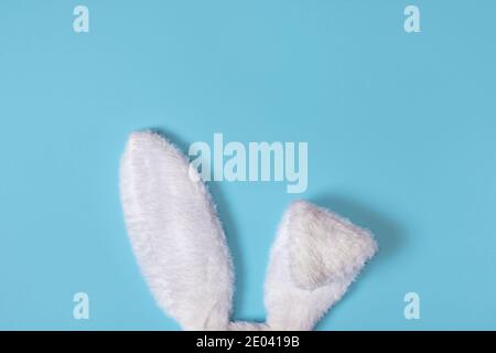 White fluffy bunny ears isolated on pastel blue background. Creative easter concept Stock Photo