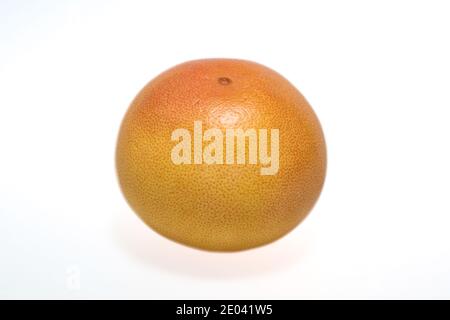 Whole single ruby grapefruit on white background Stock Photo