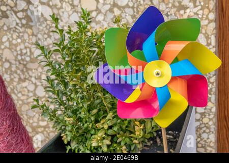 Close-up of a colored windmill outside with a green plant in the background Stock Photo