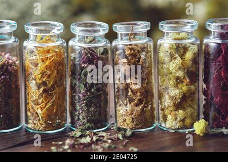 Glass bottles of dry medicinal herbs - heather, calendula, wild marjoram, daisies, helichrysum, rose petals. Alternative medicine. Stock Photo