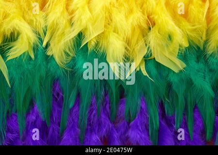 Mardi gras color feathers background. Nature patern Stock Photo