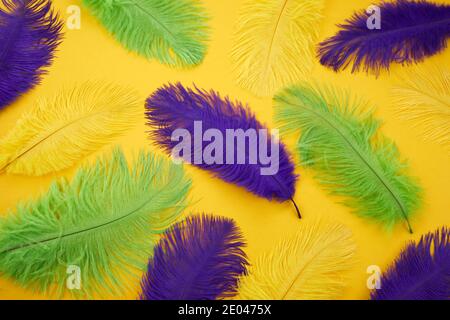 Mardi Gras Feather Background Stock Photo - Alamy