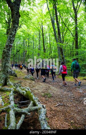 MONTE FAITO, ITALY - JUNE 14, 2020: Monte Faito is a mountain in the Monti Lattari on the Sorrentine Peninsula of southwestern Italy. Stock Photo