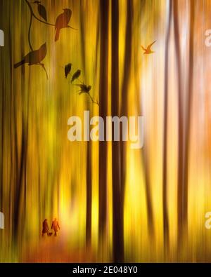 CONTEMPORARY ART: Flurry in the Forest Stock Photo