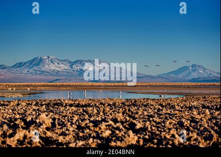 Salt lake, volcanic landscape at Sunset, Atacama, Chile border with ...