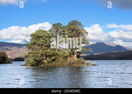 Otter Island in Abbot's Bay, Derwentwater, Lake District National Park, England, UK Stock Photo