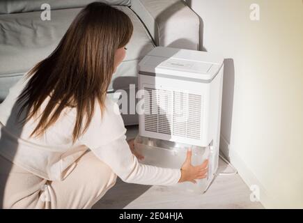 Woman changing water container in air dryer, dehumidifier, humidity indicator. Humid air at home.  Stock Photo