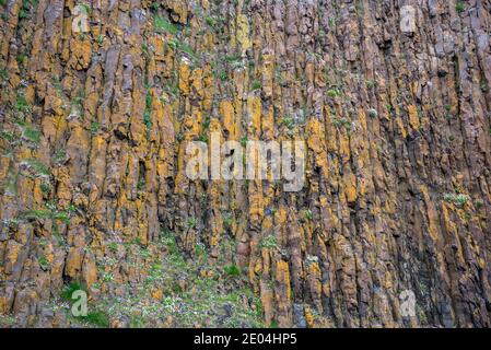 Detail of a vertical basalt coastal cliff. Natural background Stock Photo