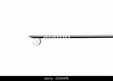 Needle with drop isolated on white background, macro Stock Photo