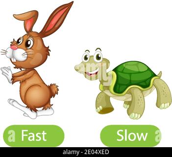 Opposite adjective words with fast and slow illustration Stock Vector