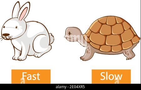 Opposite adjectives words with fast and slow illustration Stock Vector