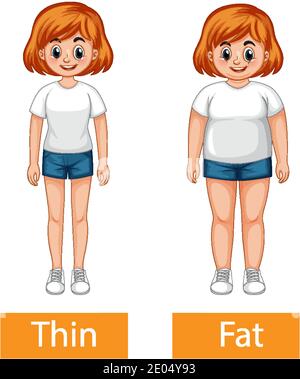 Opposite adjectives words with thin and fat illustration Stock Vector ...